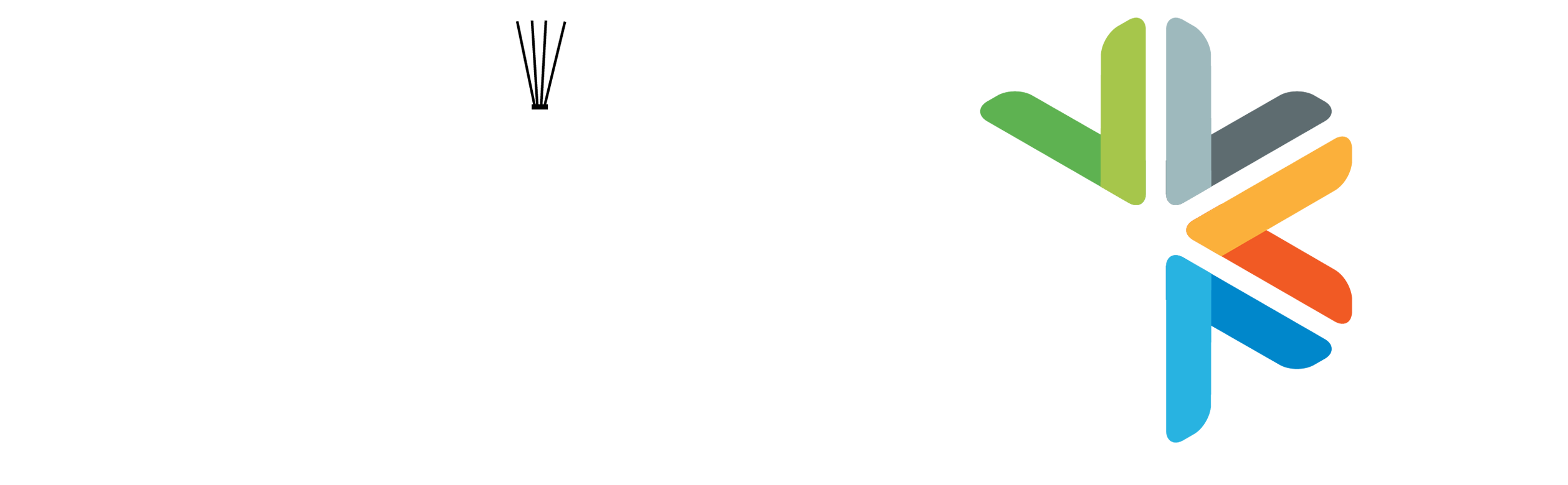 Clean Up The Community