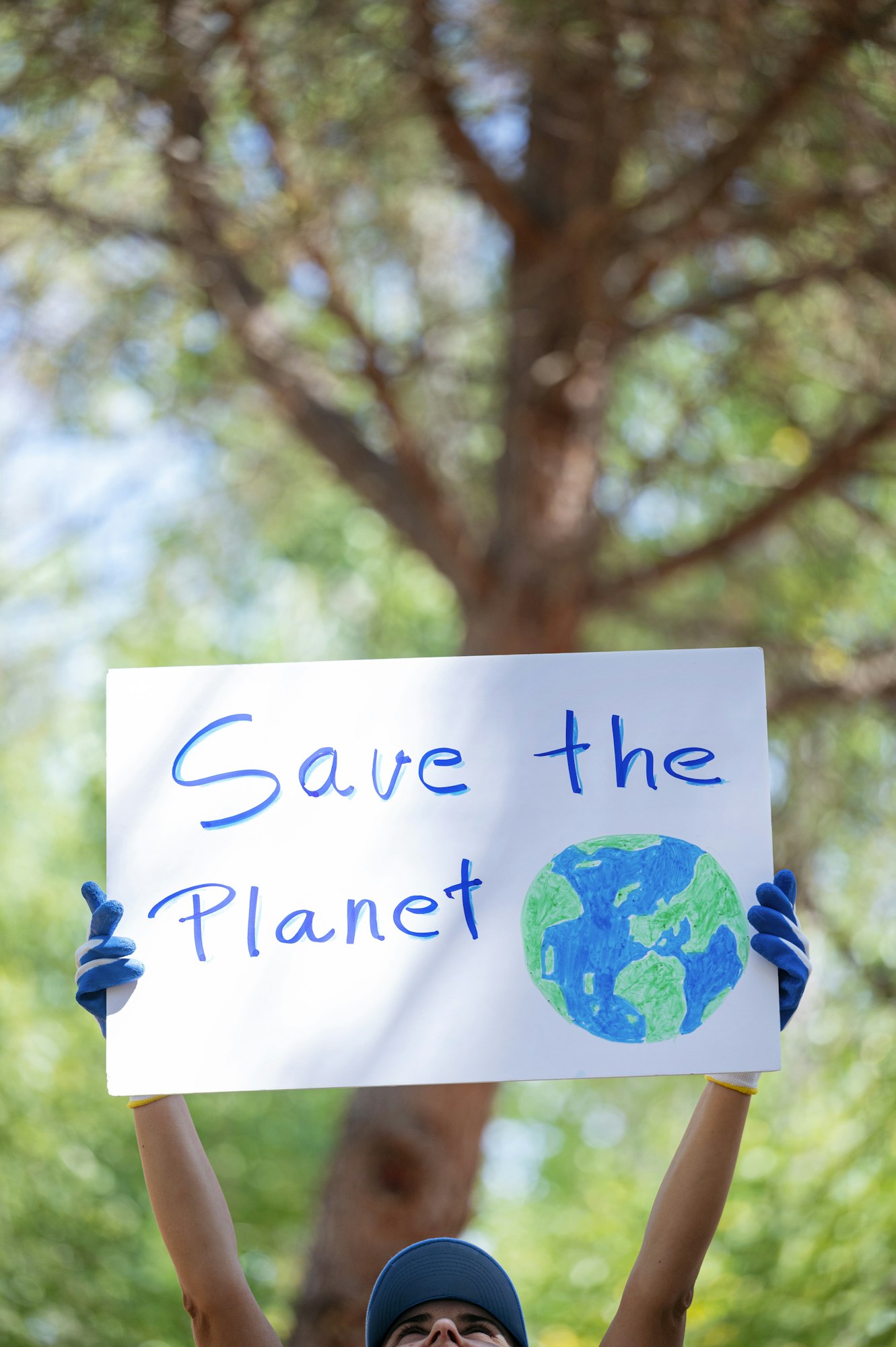 Volunteer hands holding a Clean Up the World sign in a park